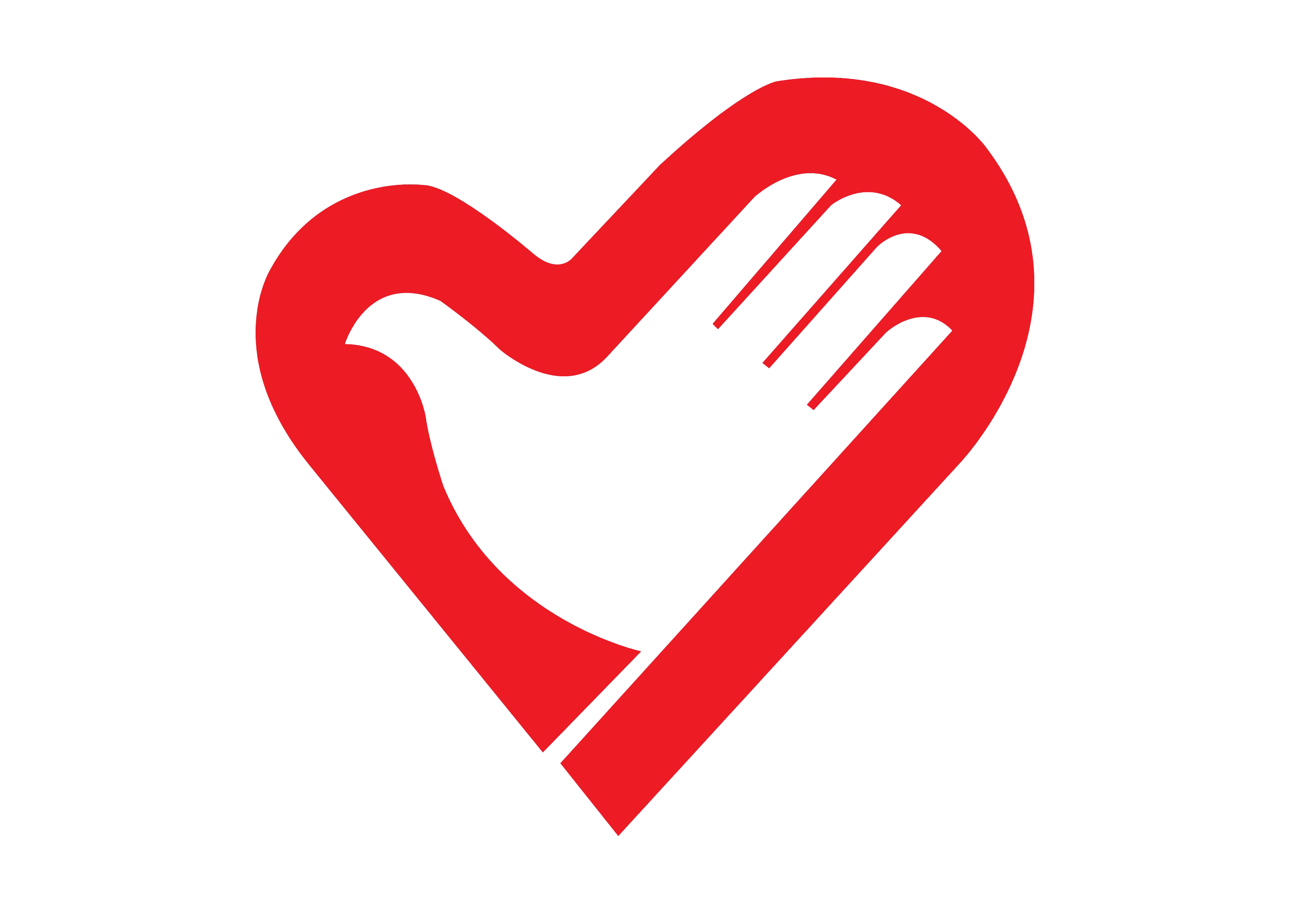 志愿活动-详情页