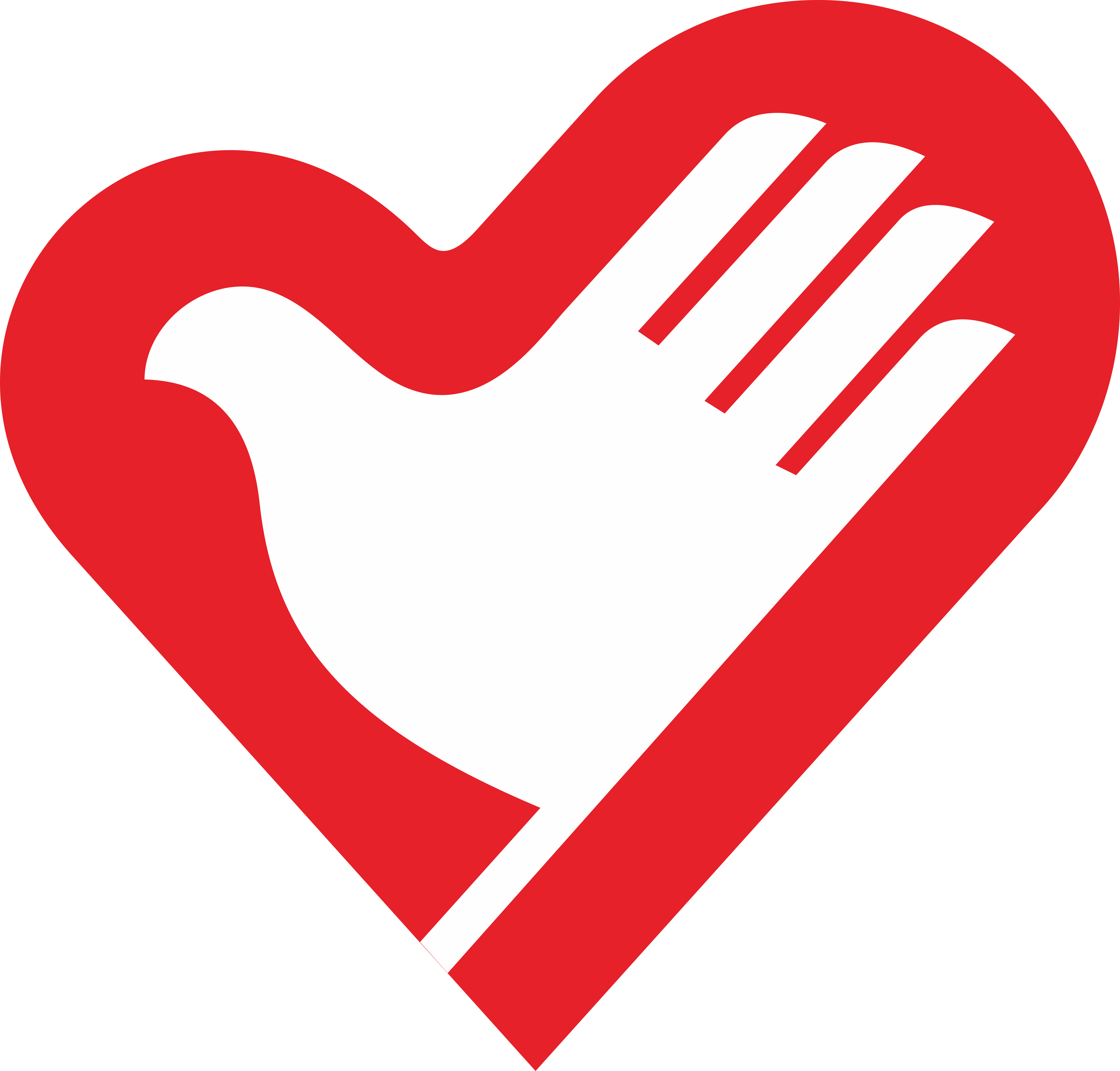 志愿活动-详情页